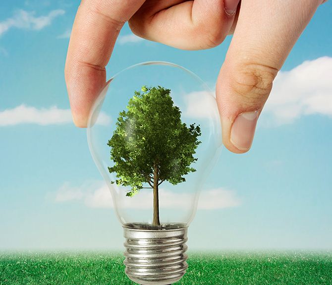 Strategies for Sustainable Entrepreneurship